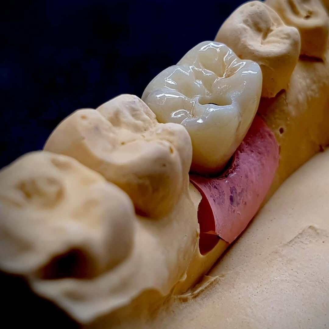 136701123_1300276310357377_1062430918348041368_n (1)