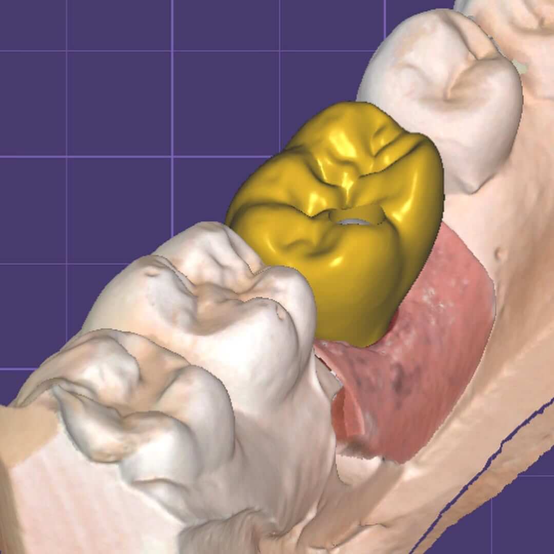 137274571_222019342861005_2447674629552976636_n (1)